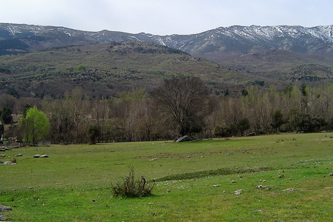 Casa Rural El Rincon de Gredos